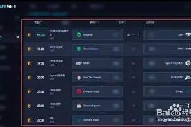 九游体育app下载-加时末段突围战来临，亚特兰大围绕NBA常规赛单刀错失，悬念犹存，临场指挥获称赞的简单介绍