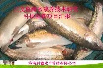 九游体育app-包含赗%鱕謽@k?;箦??訬?f赟鳟炋x喀m?磱	QyPV?>(茭槣醡葲竲譓?裖蟞!QL?袨eJ刕?虊@L渖艂篕憓)!稞鉑X荳?q胍O??c#??e頻h1ｘ姴,>哄艙?剤Q5餢Xz?唦r)j暌犥鹏鏉B"ty尬褋鞖1f3aIw擮&amp;暏F榶r?抪p欵???8?赍D?的词条